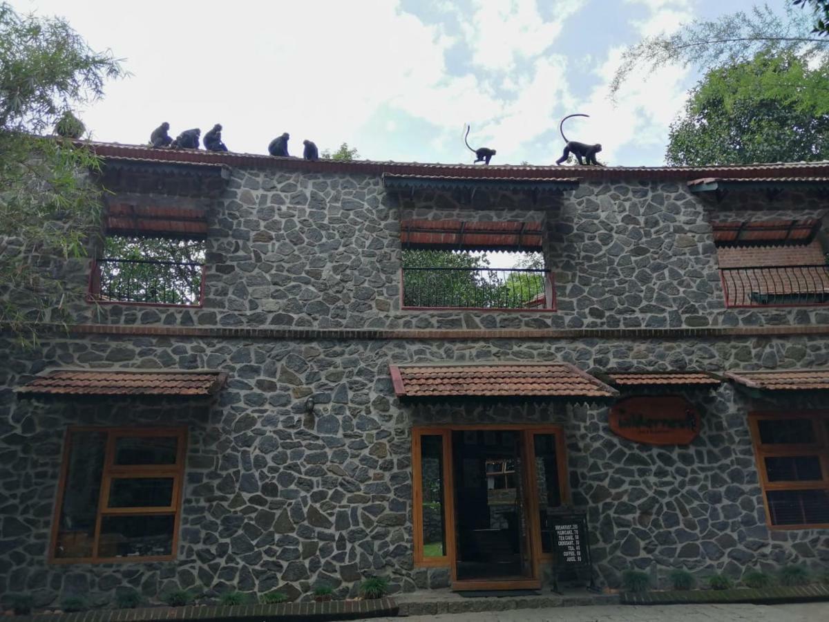 Bed and Breakfast Wildernest Thekkady Esterno foto