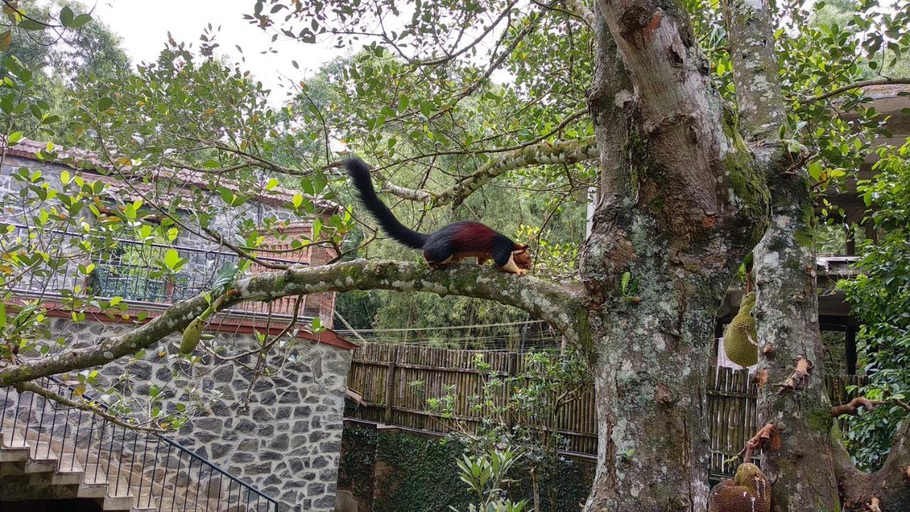 Bed and Breakfast Wildernest Thekkady Esterno foto