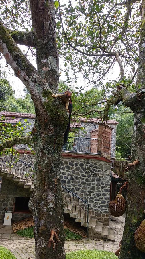 Bed and Breakfast Wildernest Thekkady Esterno foto