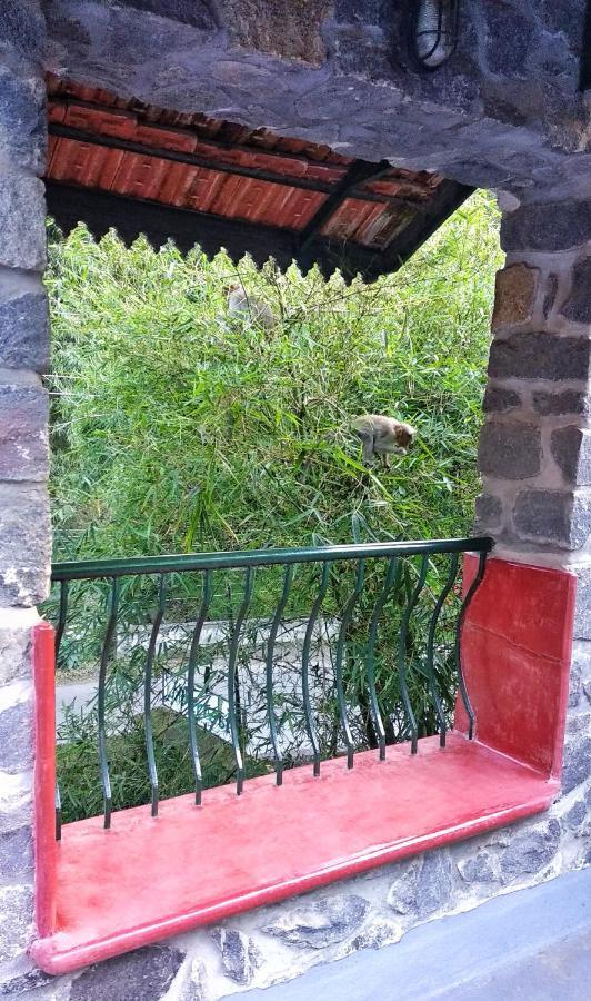 Bed and Breakfast Wildernest Thekkady Esterno foto
